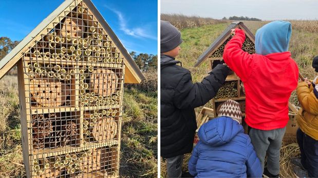 Hotel de insectos: la iniciativa de un establecimiento cordobés para cuidar la biodiversidad
