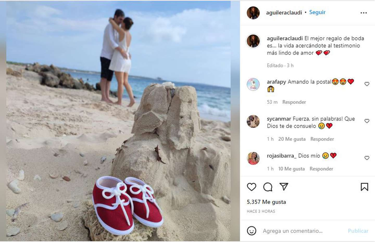 El fiscal Pecci y su esposa esperaban su primer bebé