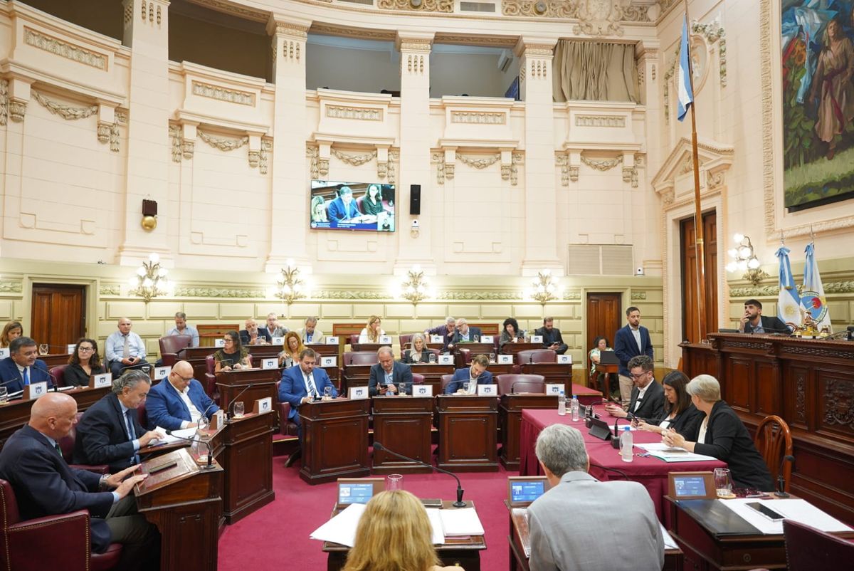 El reconocimiento se entregará este miércoles en el recinto de la Cámara de Diputados de Santa Fe.
