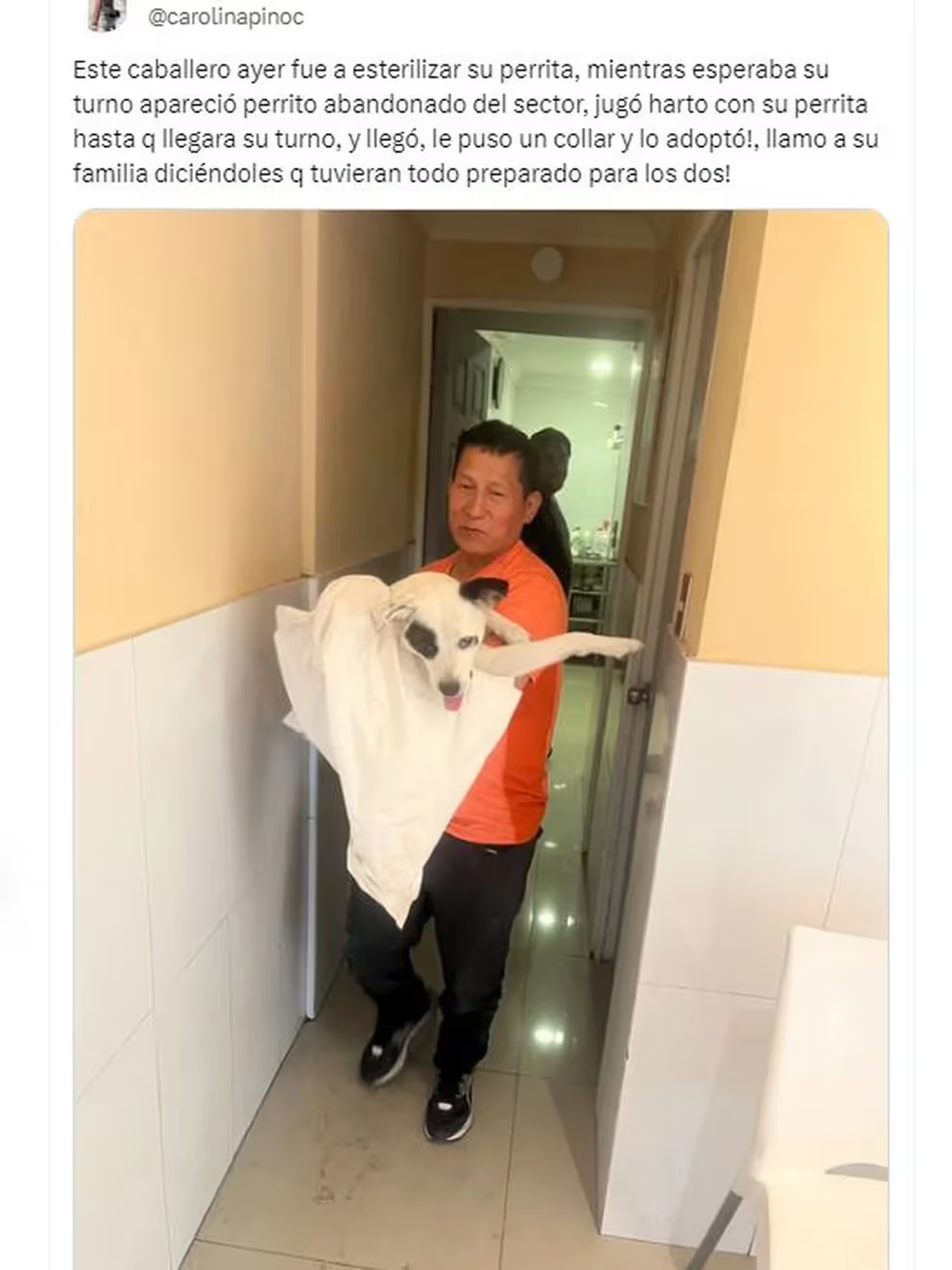 Un hombre se volvió viral al adoptar un perrito callejero al llevar a castrar su perrita. Un hombre se volvió viral al adoptar un perrito callejero al llevar a castrar su perrita.