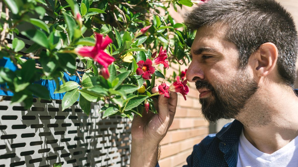 Al menos 2 millones de argentinos padecen alguna alteración olfativa