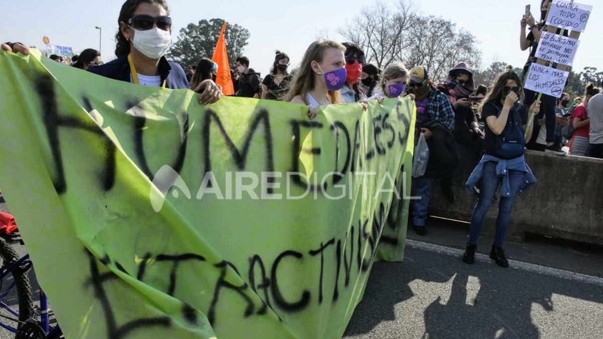 Más de 1.500 personas marcharon con pancartas y carteles en el puente Rosario-Victoria para pedir por la Ley de Humedales.&nbsp;