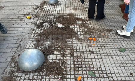 La tierra y parte de los plantines que vendía el florista quedaron tirados en el piso de la peatonal. La tierra y parte de los plantines que vendía el florista quedaron tirados en el piso de la peatonal.