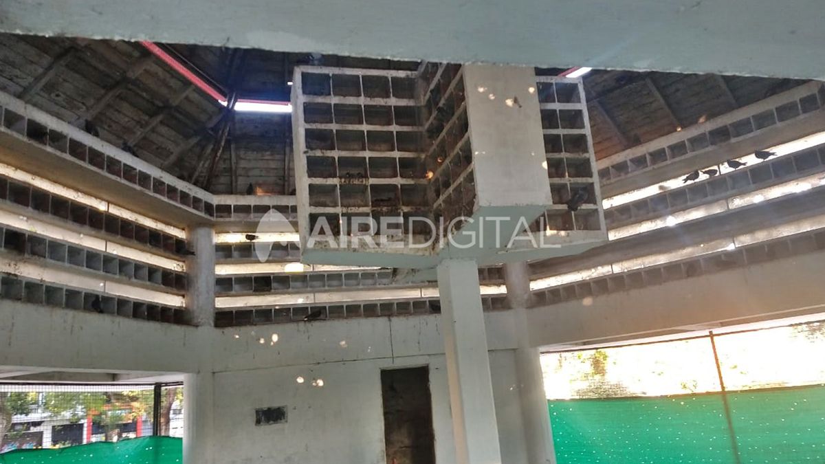 Agentes de la brigada ecológica constataron que las palomas allí encontradas no se encontrarían en óptimas condiciones y que además faltarían bebederos en el lugar.