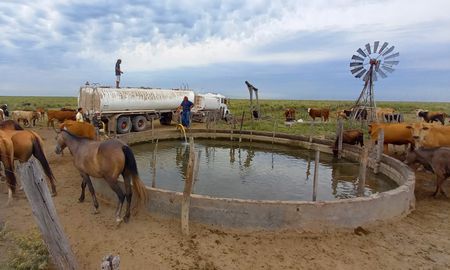 El acarreo de agua involucró el transporte de aproximadamente 55 millones de litros de agua y más de 1.000 viajes mediante camiones cisternas para asistir a productores de hasta 400 cabezas de ganado. El acarreo de agua involucró el transporte de aproximadamente 55 millones de litros de agua y más de 1.000 viajes mediante camiones cisternas para asistir a productores de hasta 400 cabezas de ganado.