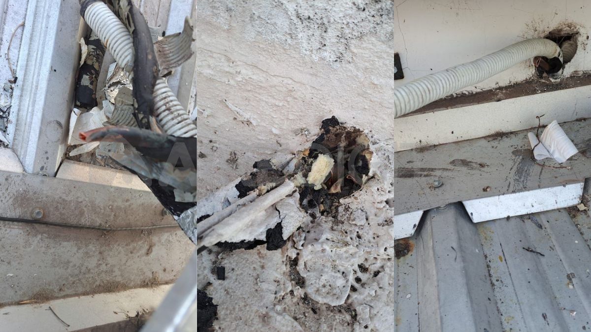 La escuela cuenta con alarmas y cámaras pero, al ingresar por los techos, el robo no quedó registrado.