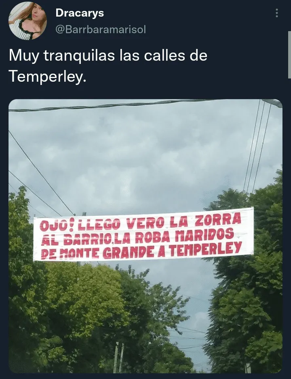 El tuit del pasacalles dedicado a la "roba maridos" se volvi&oacute; viral.