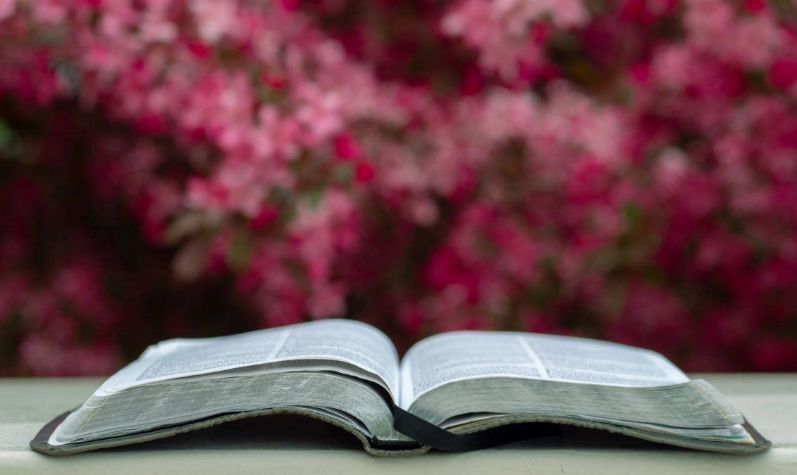 6 libros para celebrar la primavera