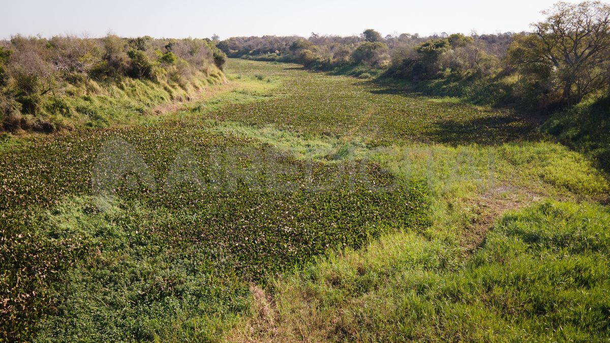 Los senderos del Parque Provincial Cayastá bordean el hermoso arroyo Paso del Tigre.