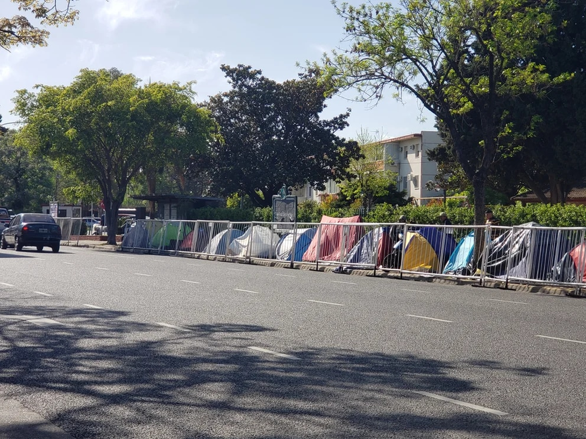 Hace 15 días que están acampando para ver a Daddy Yankee.