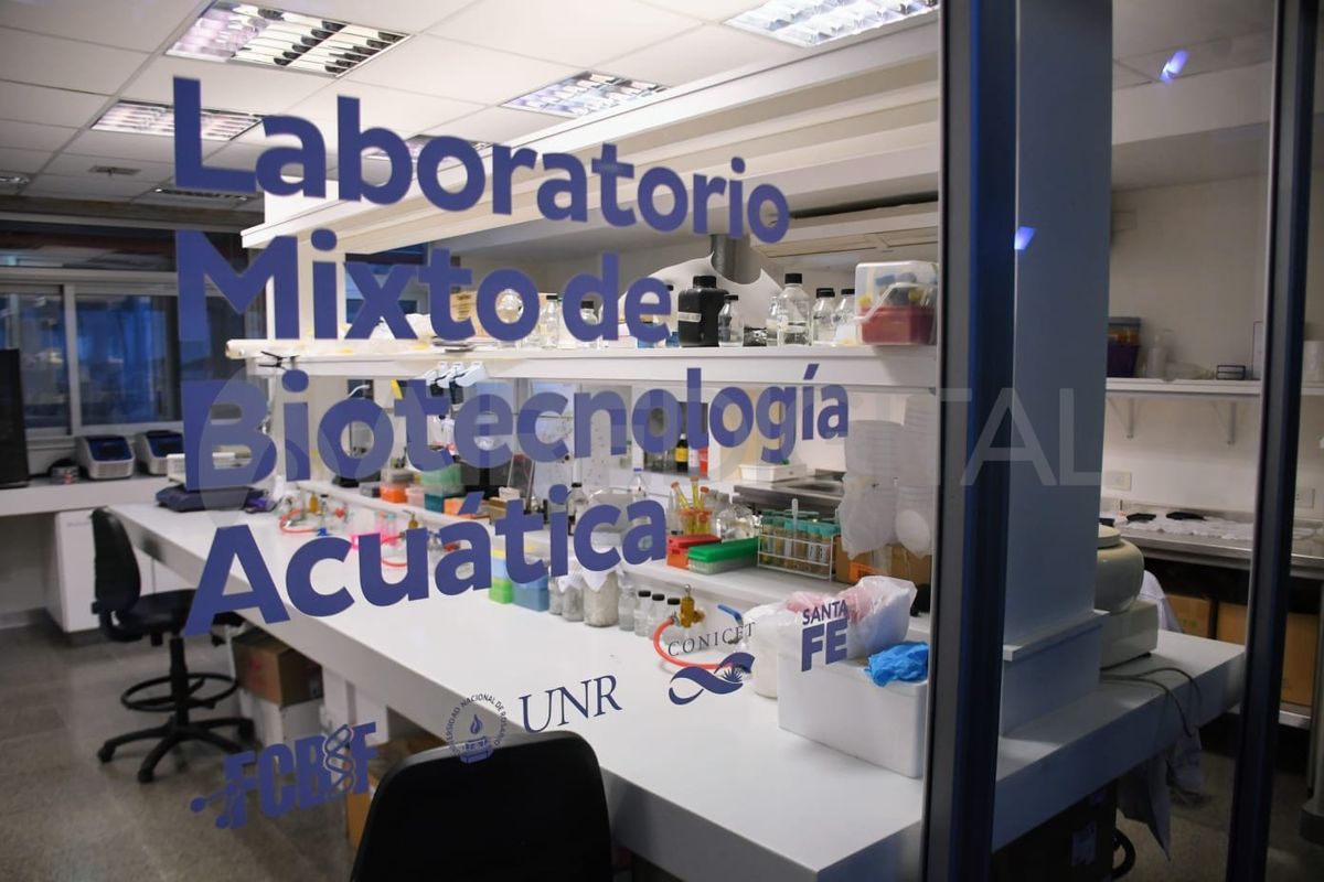 Con una apuesta a la producción de conocimiento científico con sello local y con el objetivo de posicionar a la provincia como un núcleo de producción de más y mejores alimentos, Santa Fe busca hacerse fuerte en acuicultura.