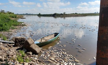 mortandad de peces: el gobierno ratifico que la causa fue la ausencia de oxigeno mortandad de peces: el gobierno ratifico que la causa fue la ausencia de oxigeno