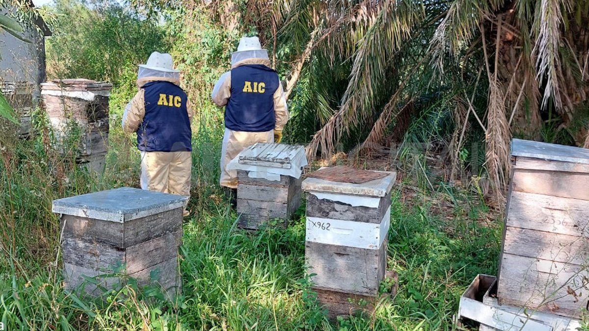 Los investigadores se colocaron la indumentaria correspondiente para allanar los establecimientos.&nbsp;