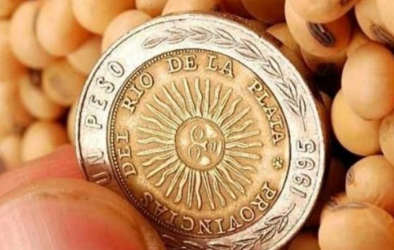 Fondo Sojero: números que impactarán en la provincia