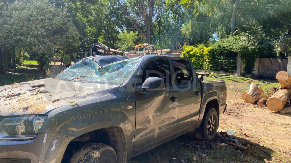 La Volkswagen Amarok quedó completamente destruida bajo el peso del árbol y los cables caídos, en una imagen que refleja la magnitud de los daños. La Volkswagen Amarok quedó completamente destruida bajo el peso del árbol y los cables caídos, en una imagen que refleja la magnitud de los daños.