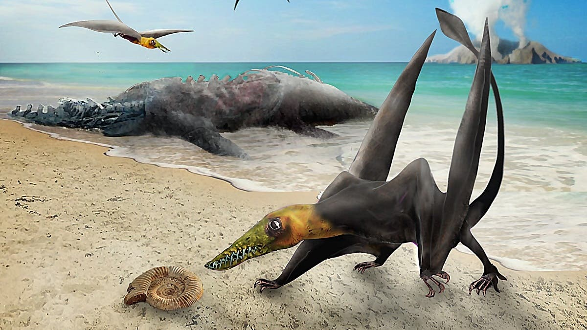 Ilustración que se remonta a las épocas en que el Pterosaurio habitó en lo que sería el desierto de Atacama.