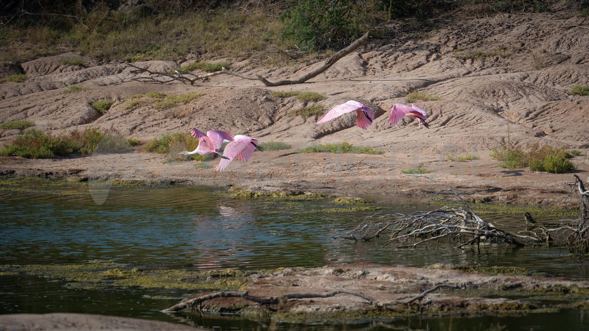 La producci&oacute;n de frutillas es parte esencial de la identidad local y atrae a visitantes durante todo el a&ntilde;o.