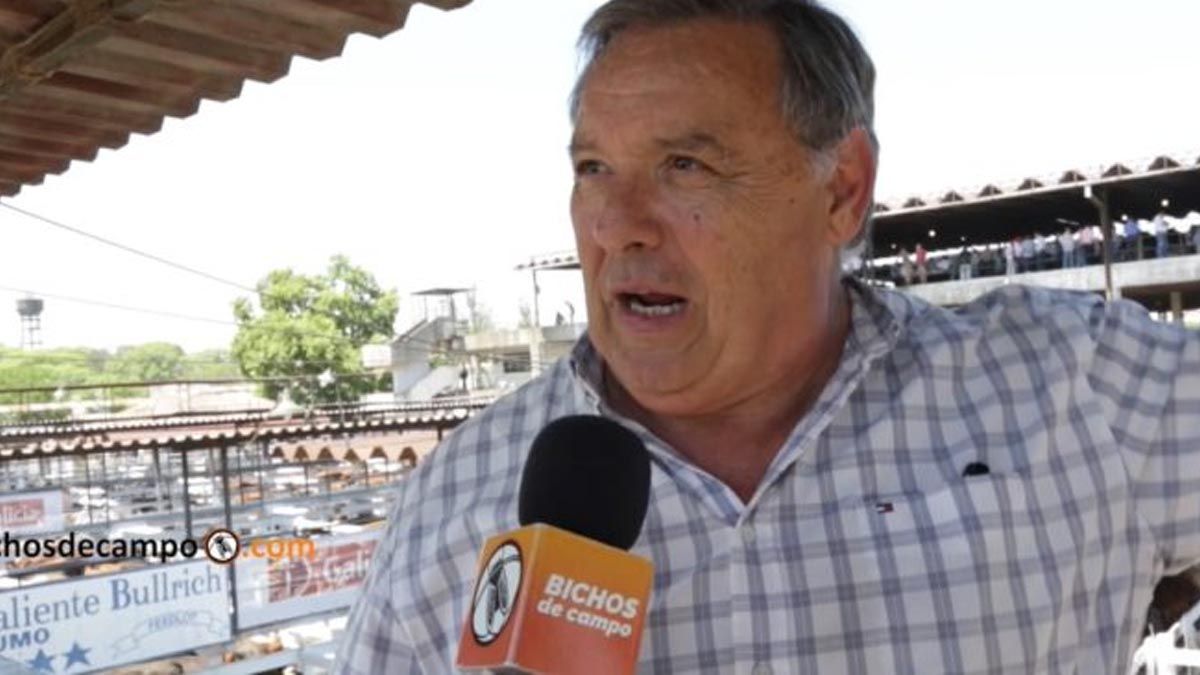 Gervasio Sáenz Valiente cuenta qué es el Gordo de Navidad, que se celebró en el Mercado de Liniers por última vez en la historia