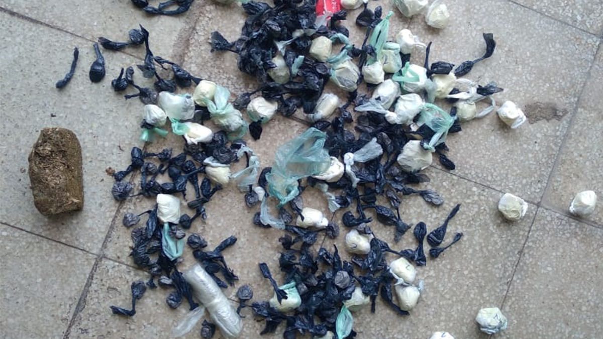 Intervienen en la causa