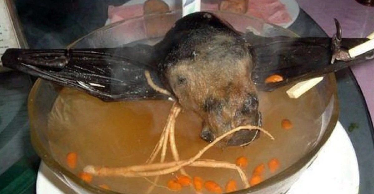 Sopa de murci&eacute;lago