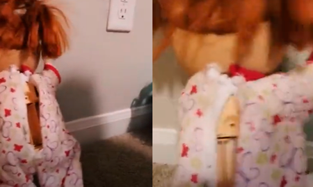El usuario que la compartió en Tik Tok fue @rubiloxx y pudo mostrar a cámara que el juguete tenía un espacio vacío en el lugar en el que irían las baterías. Para eso la desarmó por partes y comprobó que no tenía ninguna fuente de energía en su interior. El usuario que la compartió en Tik Tok fue @rubiloxx y pudo mostrar a cámara que el juguete tenía un espacio vacío en el lugar en el que irían las baterías. Para eso la desarmó por partes y comprobó que no tenía ninguna fuente de energía en su interior.