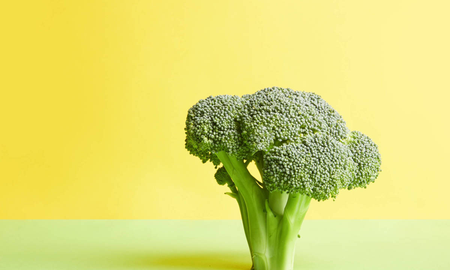 El brócoli y la salud El brócoli y la salud
