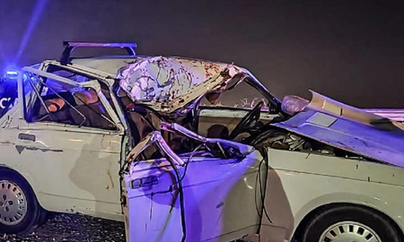 Un automóvil impactó contra dos caballos y producto del choque, falleció una niña de cuatro años que iba en el asiento trasero. Un automóvil impactó contra dos caballos y producto del choque, falleció una niña de cuatro años que iba en el asiento trasero.