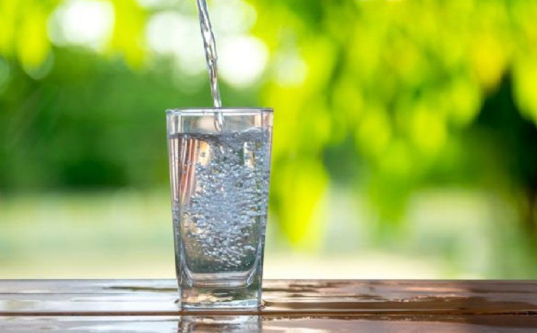 El agua debe ser la bebida principal y consumirse de manera constante a lo largo del día, sin esperar a tener sed. El agua debe ser la bebida principal y consumirse de manera constante a lo largo del día, sin esperar a tener sed.