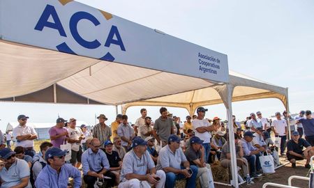 La Asociación de Cooperativas Argentinas tendrá su stand en la Expoagro 2025. La Asociación de Cooperativas Argentinas tendrá su stand en la Expoagro 2025.