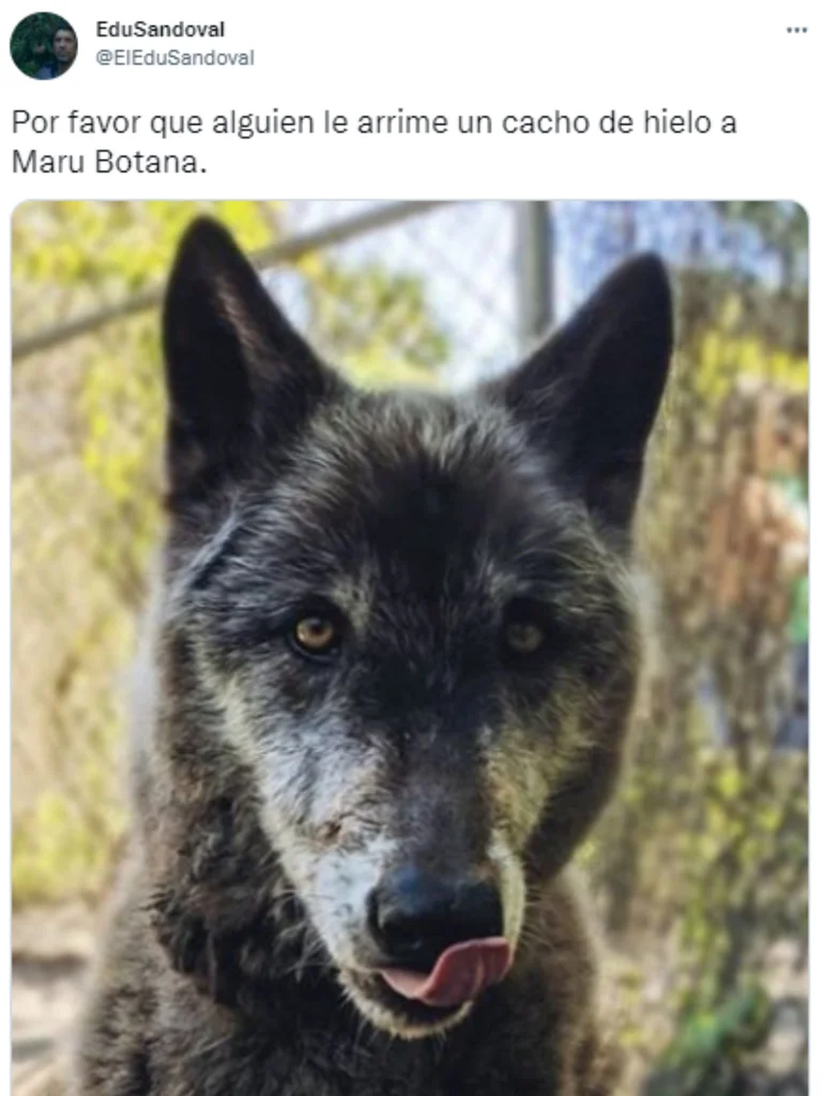 Maru Botana hizo su debut en MasterChef y las redes se llenaron de memes.