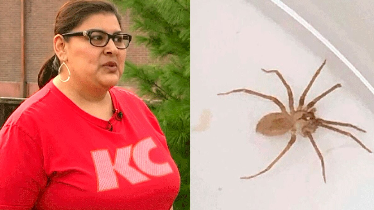 Susie Torres, una mujer estadounidense de Kansas City, Misuri, llevaba d&iacute;as con una molestia constante en el o&iacute;do.