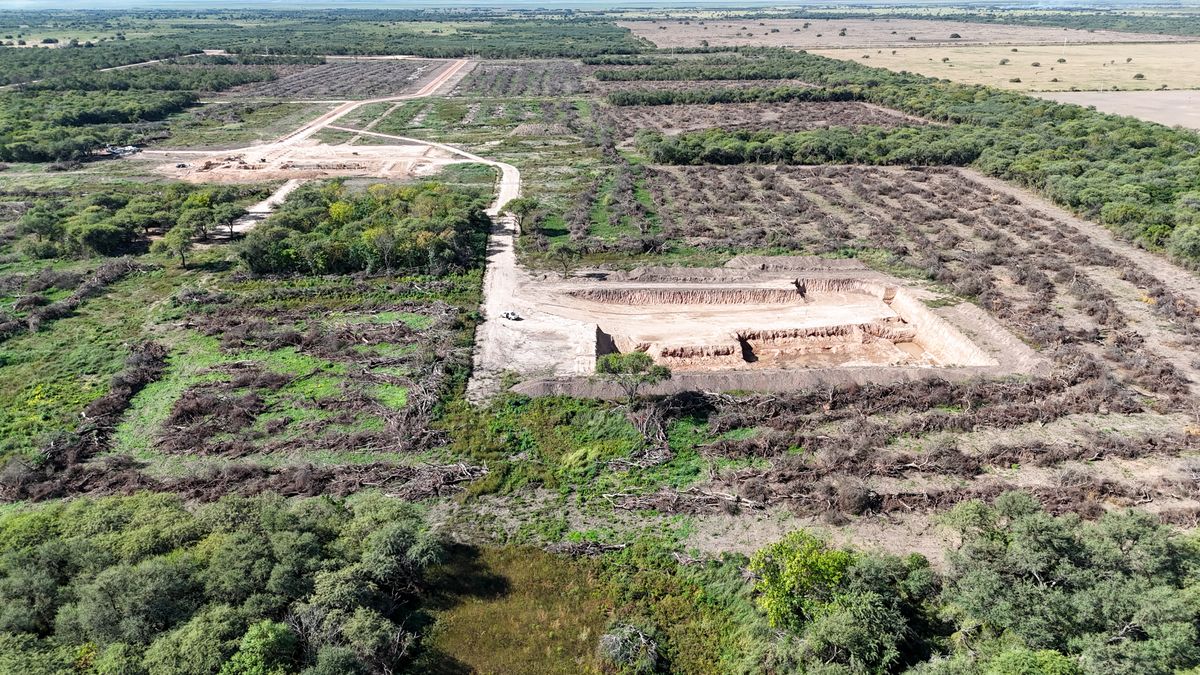 La Provincia de Santa Fe frenó un desmonte ilegal de casi 50 hectáreas en el norte santafesino.