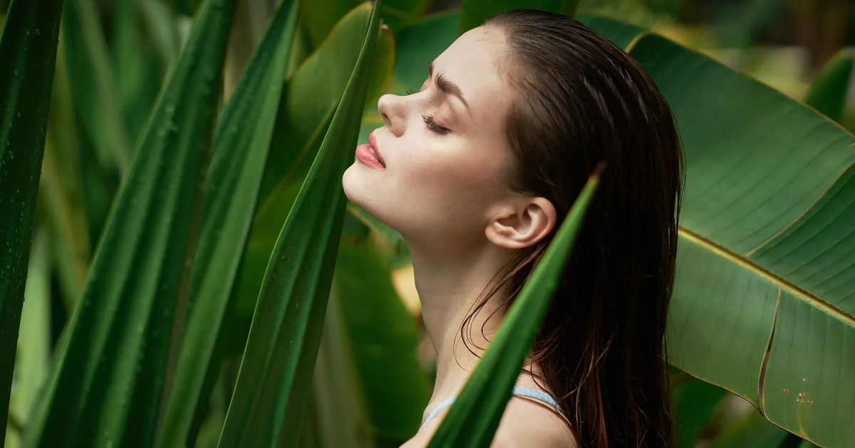 El aloe vera contiene vitaminas y minerales que ayudan a nutrir tu cabello.