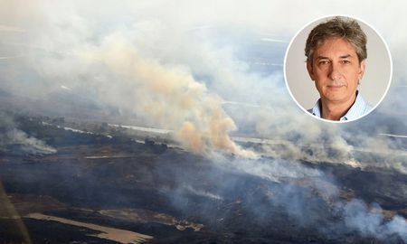 El secretario de Ambiente de la Nación, Sergio Federovisky, se refirió a los incendios en las islas del Paraná. El secretario de Ambiente de la Nación, Sergio Federovisky, se refirió a los incendios en las islas del Paraná.