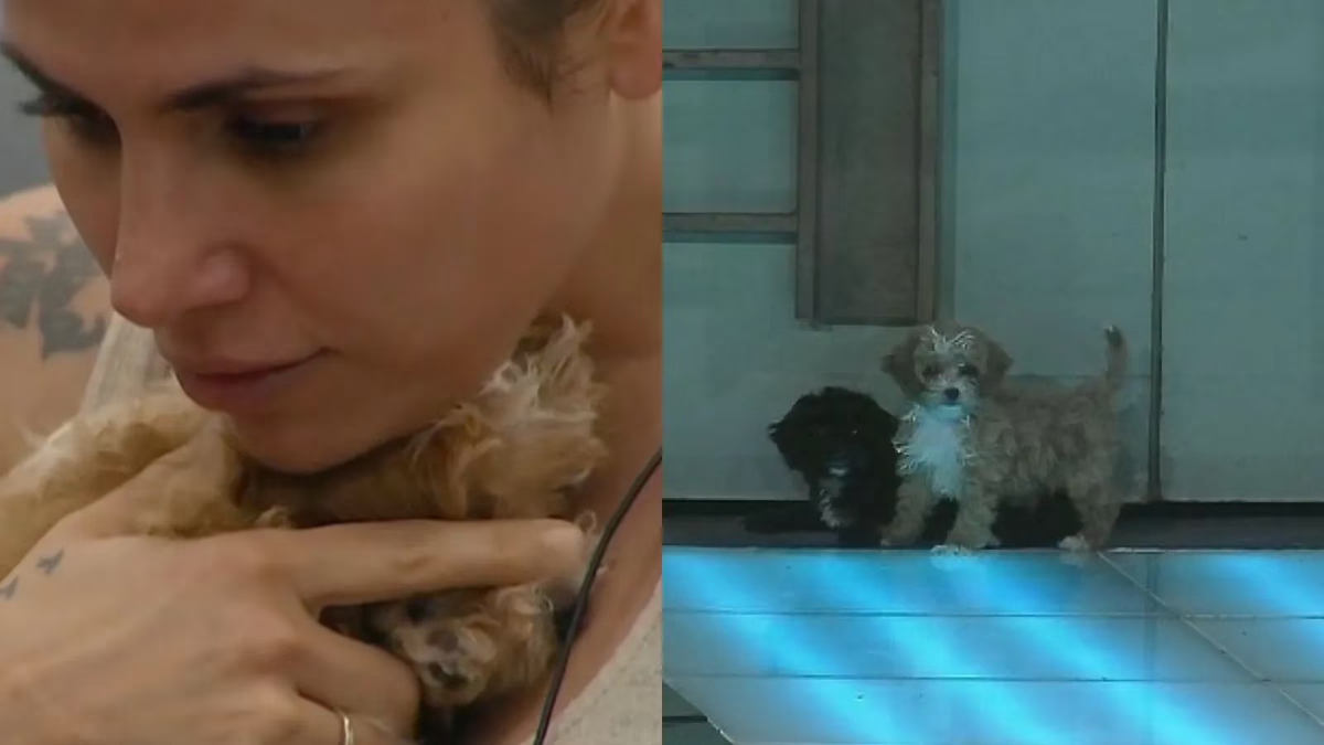 Romina se apoderó de uno de los perritos