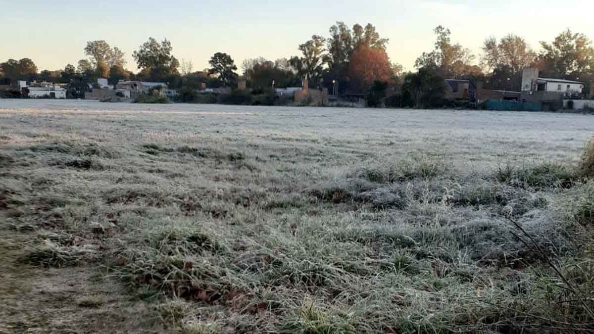 Club Viales. San José del Rincón. 8 horas. Patricio de Rincón.