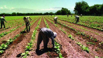 El gobierno nacional propone 0% de retenciones para economías regionales