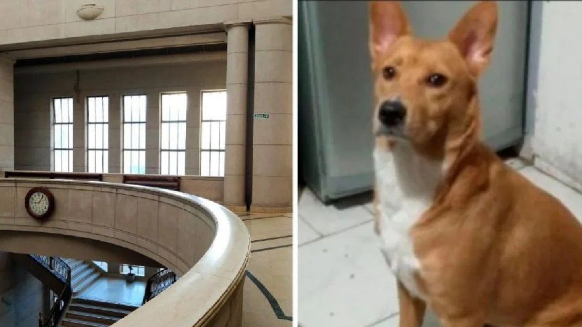 Tras un fallo inédito