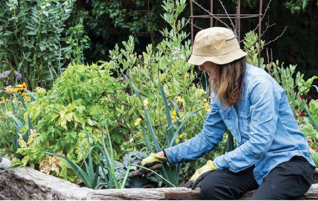 Preguntas y respuestas que te van a ayudar si querés tener una huerta en casa