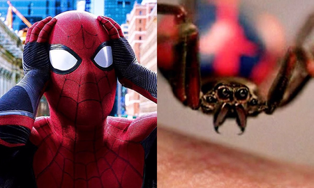 Un nene se hizo picar por una araña para poder ser Spiderman y casi se muere Un nene se hizo picar por una araña para poder ser Spiderman y casi se muere