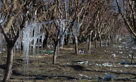 Congelados. En Mendoza hubo hasta 9 grados bajo cero, según los medios locales. Congelados. En Mendoza hubo hasta 9 grados bajo cero, según los medios locales.