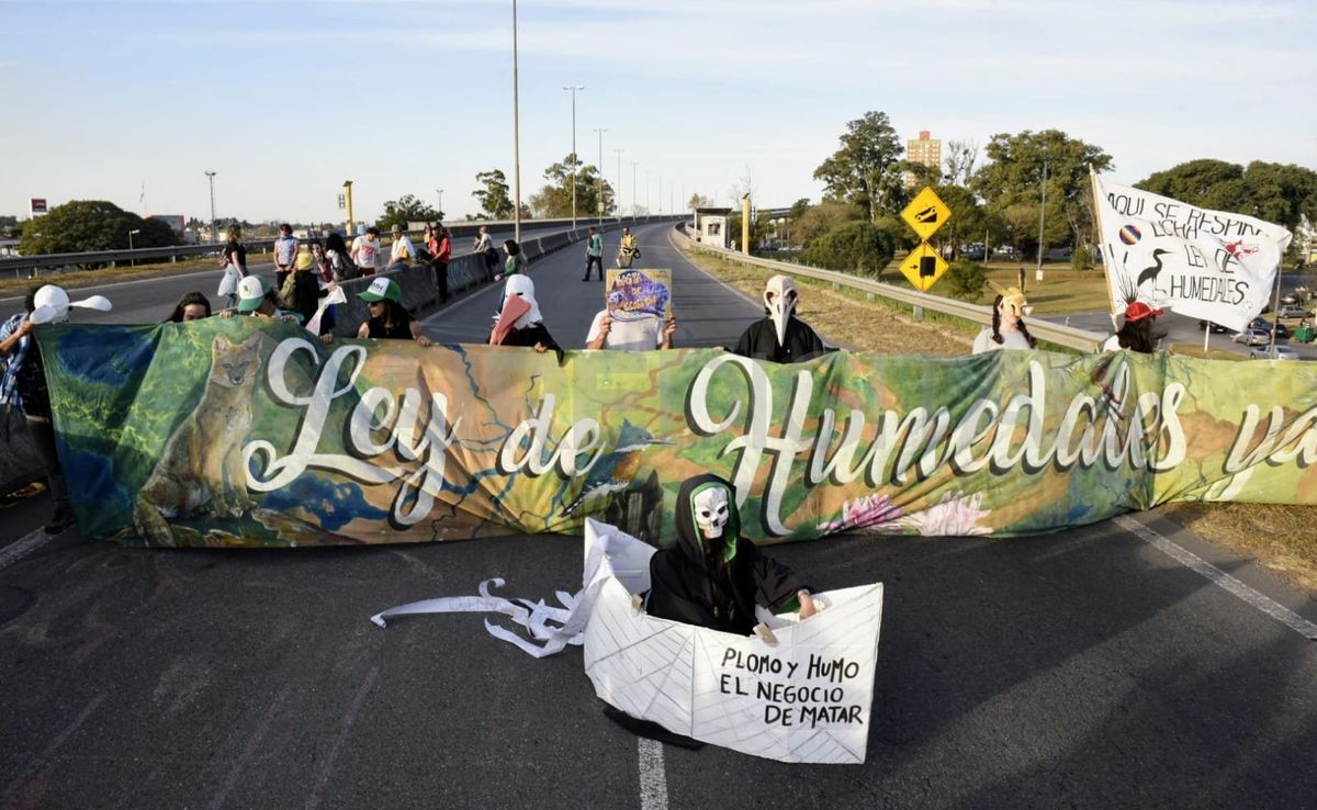 El pedido central de la doble jornada de acción ambiental es para que el Congreso avance con la sanción de una Ley de Humedales, “pero no cualquier ley”.