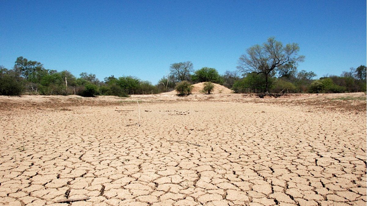 La sequía y la bajante en la cuenca del río Paraná provocó pérdidas millonarias a la agroindustria argentina.