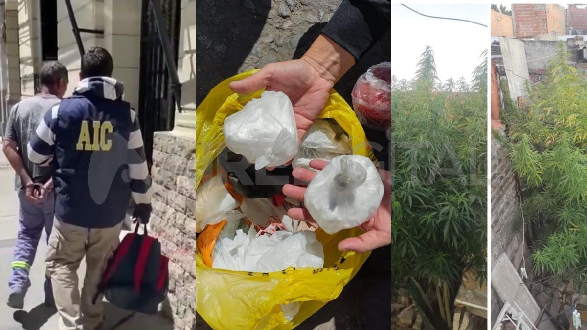 Detuvieron a un falso albañil por tenencia y comercialización de estupefacientes.