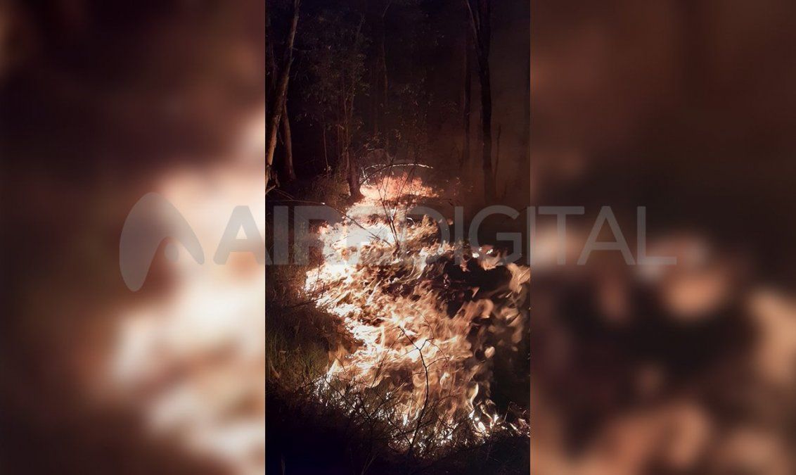 El fuego avanzó sobre la vegetación cuya sequedad es atenuada por las altas temperaturas y la baja humedad, sirviendo como combustible. 