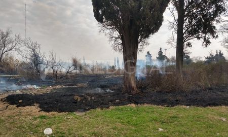 Un campo se incendió en Santo Tomé. Un campo se incendió en Santo Tomé.