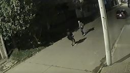 La secuencia fatal fue captada por una cámara de seguridad que permitió a la Fiscalía esclarecer el cruento suceso.&nbsp;