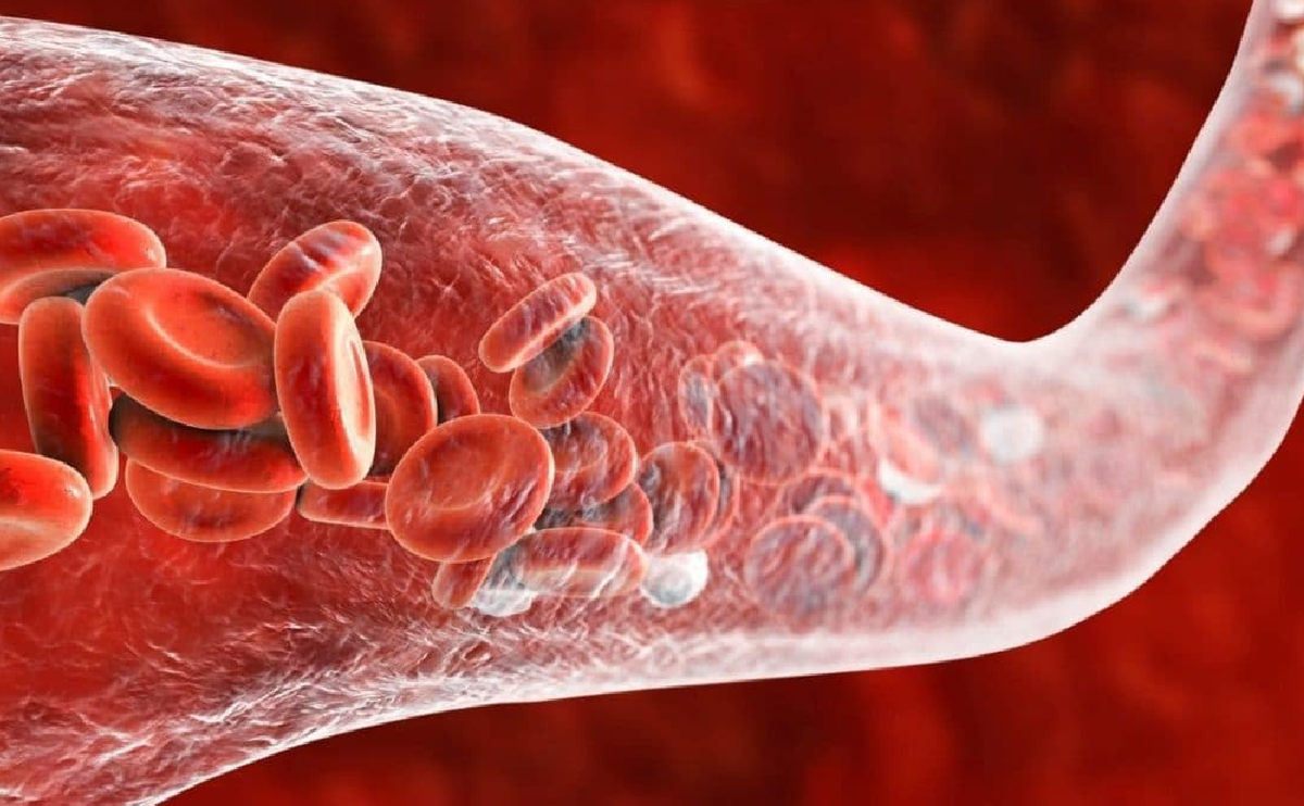 El superalimento que mejora la circulación sanguínea