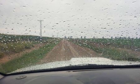 lluvias de carnaval en el agro santafesino: alivio para la soja y mas de 300 mm en el norte lluvias de carnaval en el agro santafesino: alivio para la soja y mas de 300 mm en el norte