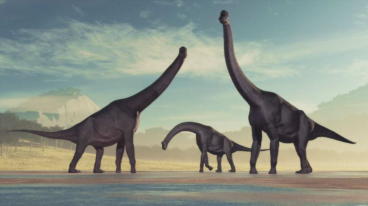 Esto lo determin&oacute; un estudio que analiz&oacute; huevos de dinosaurio hallados en un yacimiento f&oacute;sil en el sur de Argentina.